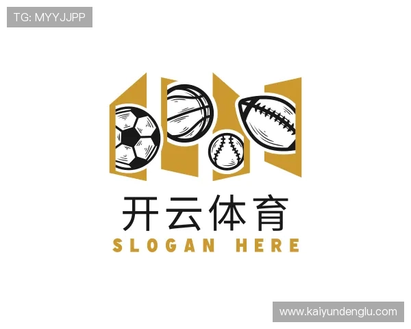 介绍开云体育登录